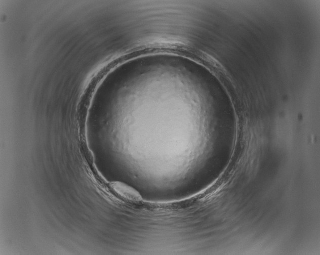 X0000056371027200508291355