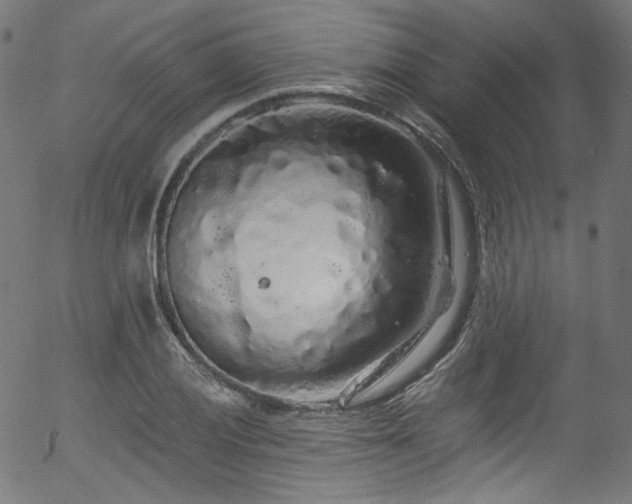 X0000056371028200508291355