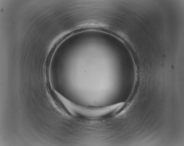 X0000056371030200508291355