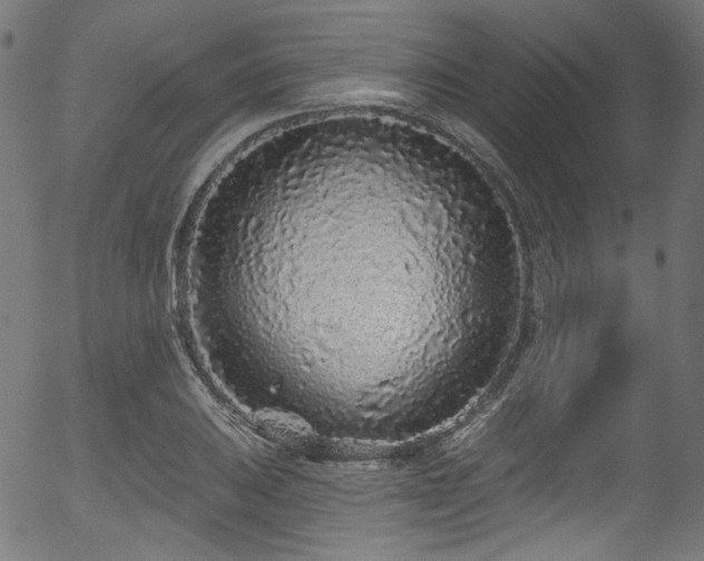 X0000056371031200508291355