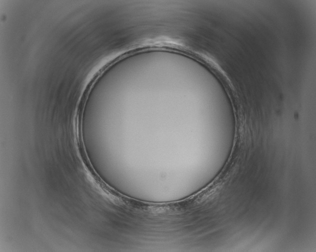 X0000056371032200508291355