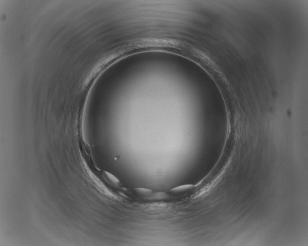 X0000056371033200508291355