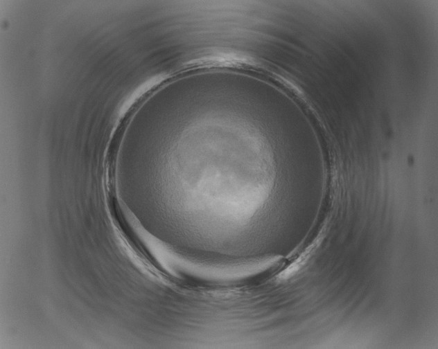 X0000056371034200508291355