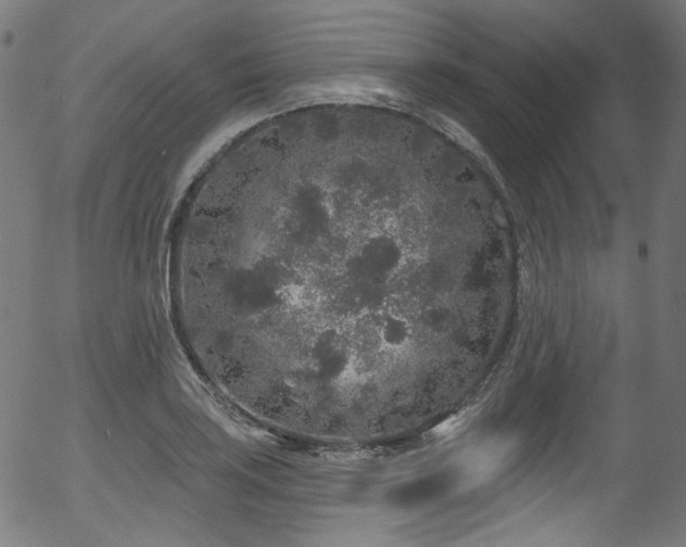 X0000056371035200508291355