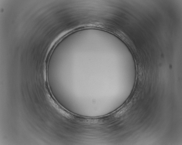 X0000056371036200508291355