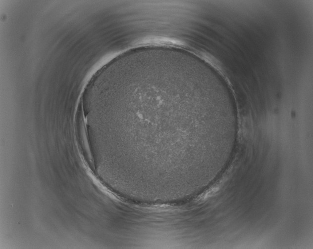 X0000056371037200508291355