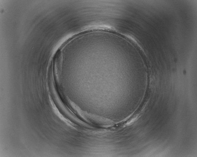 X0000056371038200508291355