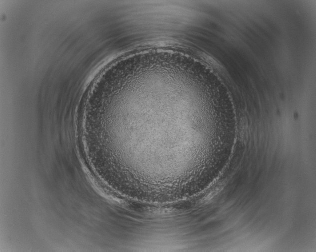 X0000056371039200508291355