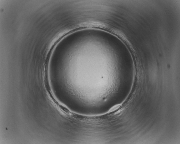 X0000056371040200508291355