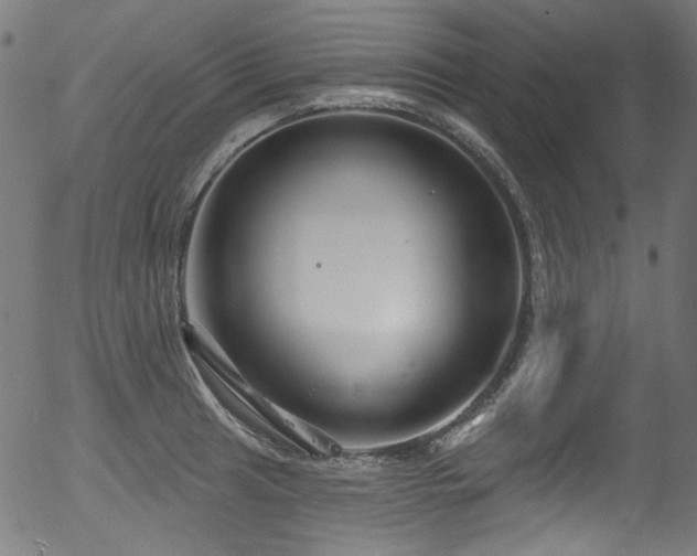 X0000056371041200508291355