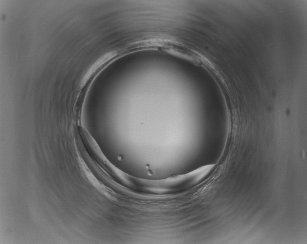 X0000056371042200508291355