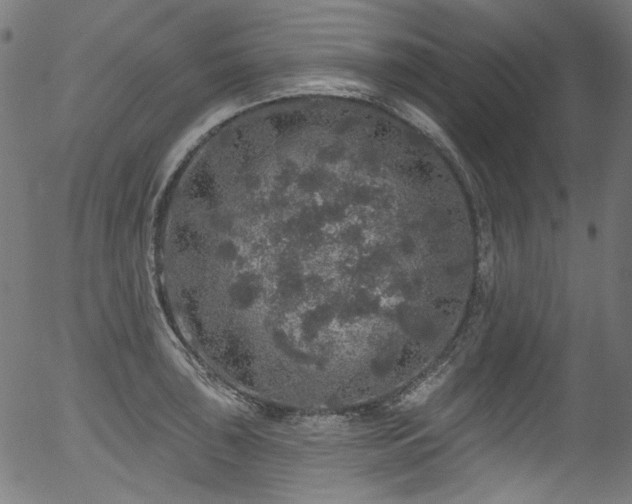 X0000056371043200508291355