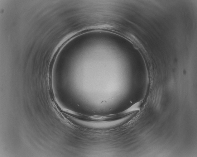 X0000056371044200508291355