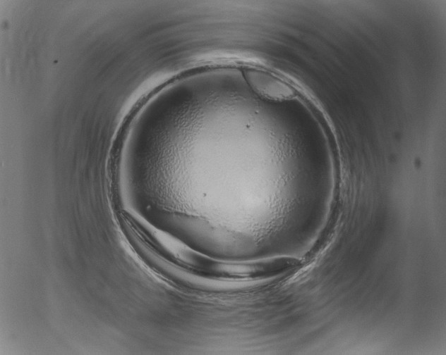 X0000056371045200508291355