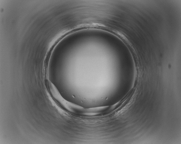 X0000056371046200508291355