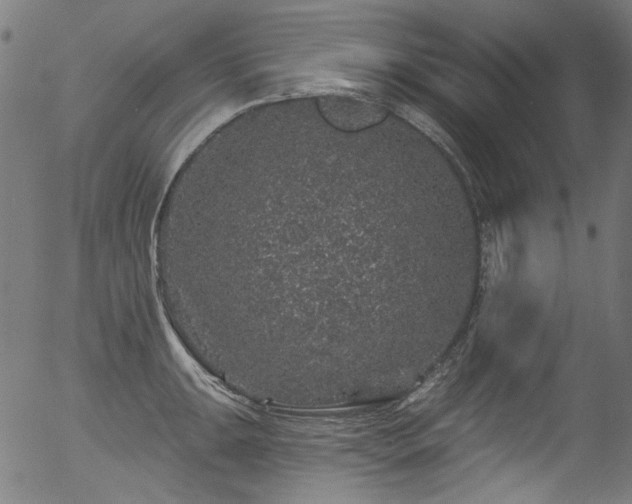 X0000056371047200508291355