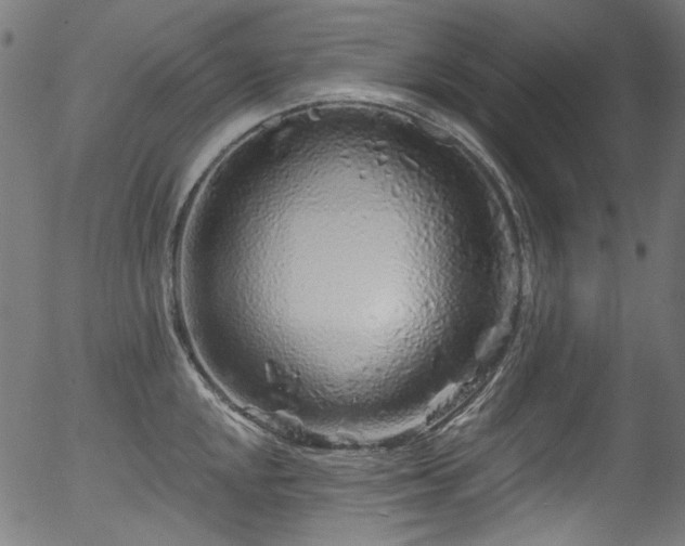 X0000056371048200508291355