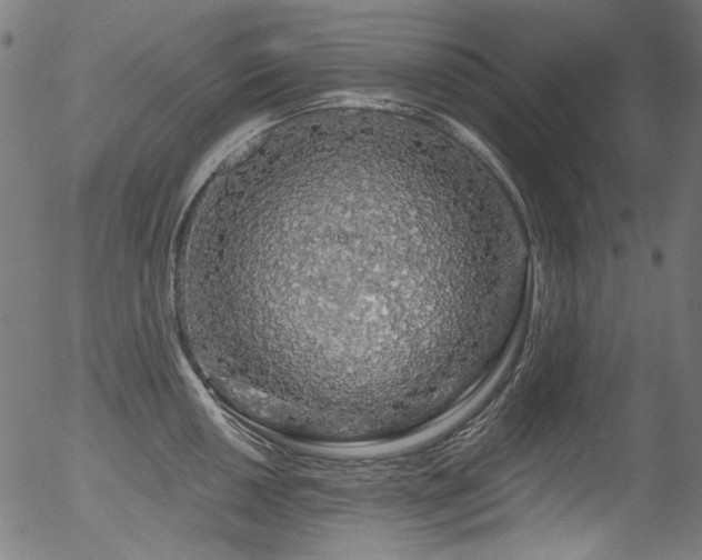 X0000056371050200508291355