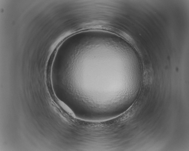 X0000056371051200508291355