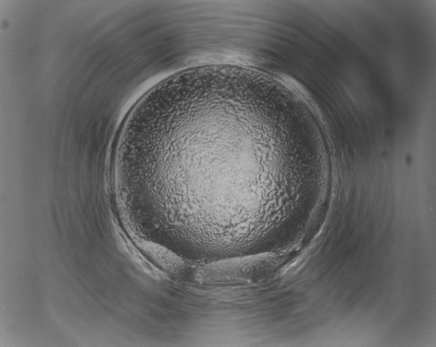 X0000056371052200508291355