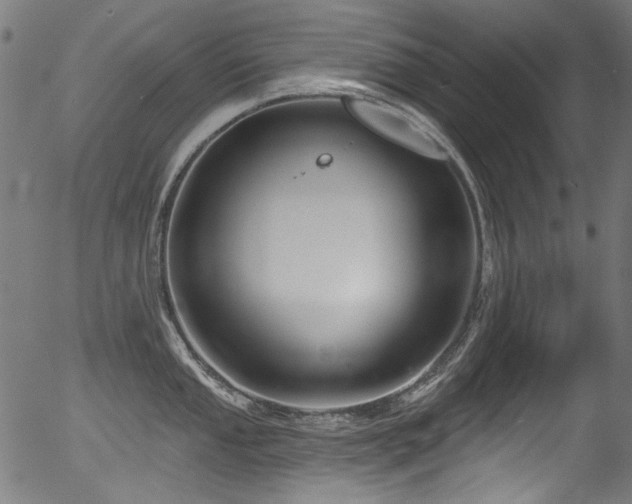 X0000056371053200508291356