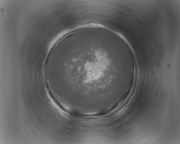 X0000056371054200508291356