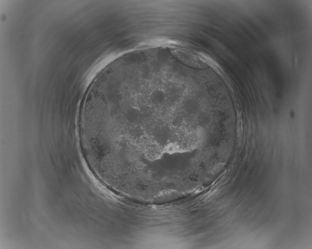 X0000056371055200508291356