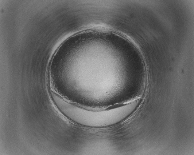 X0000056371056200508291356