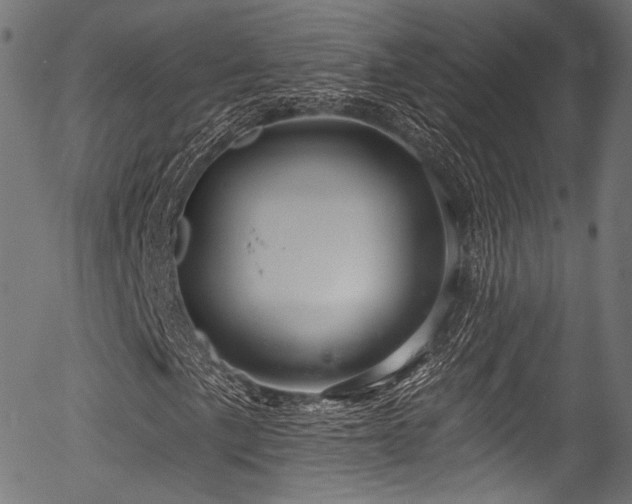 X0000056371057200508291355