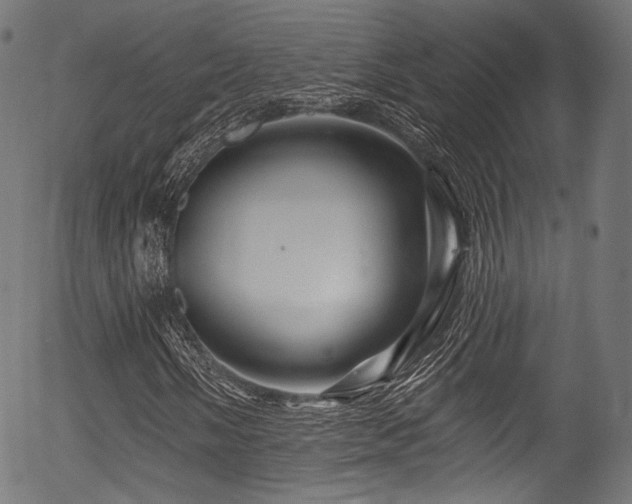 X0000056371058200508291355