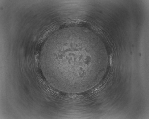 X0000056371059200508291355