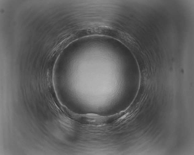 X0000056371060200508291355