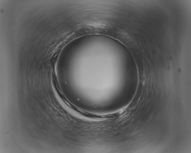 X0000056371061200508291355