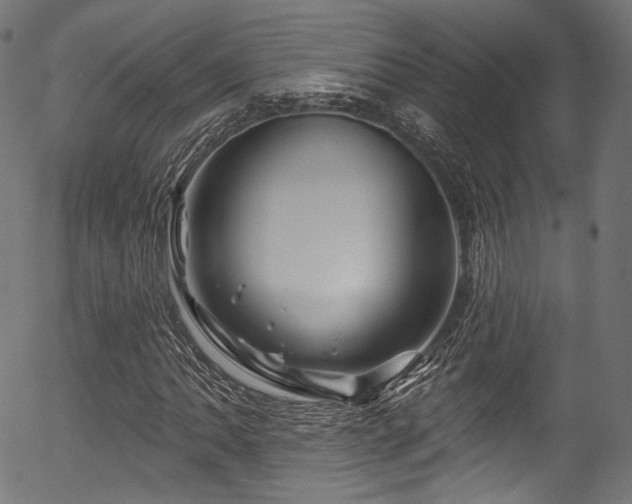 X0000056371062200508291355