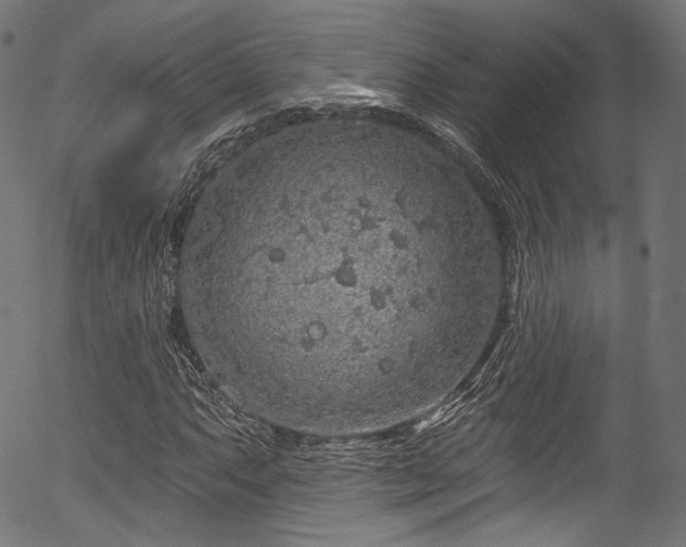 X0000056371063200508291355