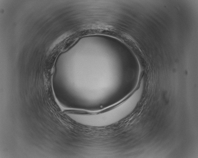 X0000056371064200508291355