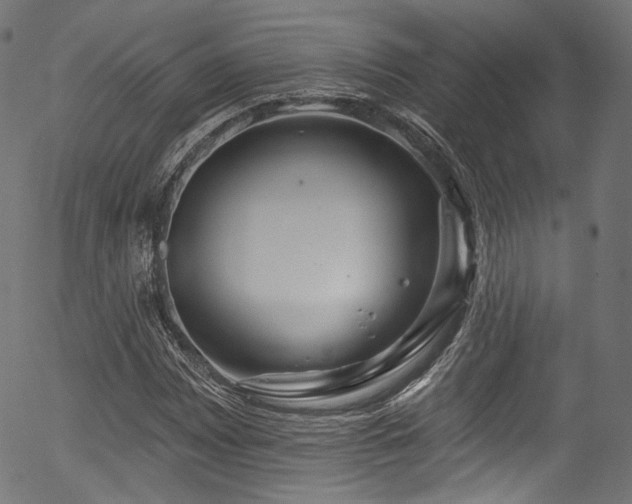 X0000056371065200508291355