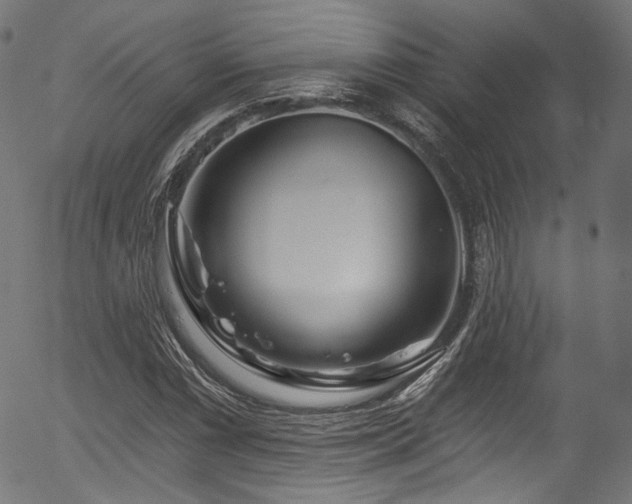 X0000056371066200508291355