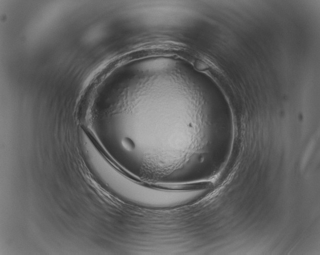 X0000056371067200508291355