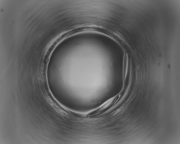 X0000056371068200508291355