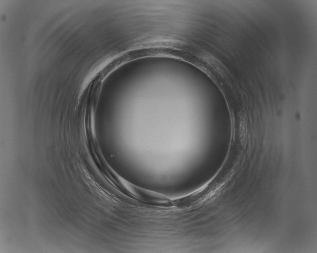 X0000056371069200508291355