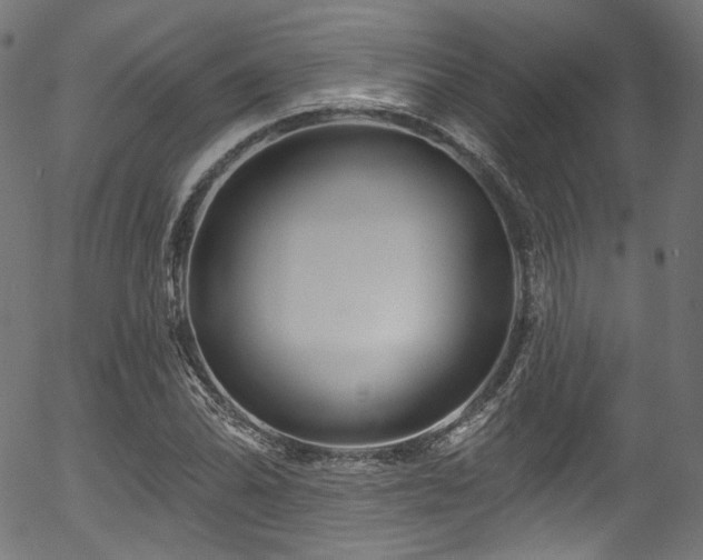 X0000056371070200508291355