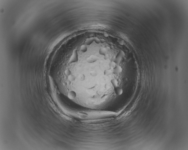 X0000056371071200508291355