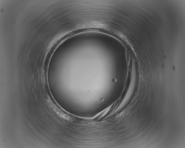 X0000056371072200508291355