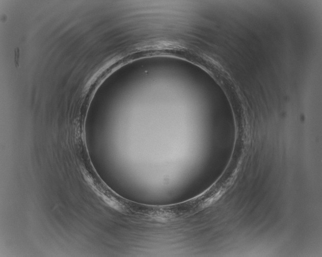 X0000056371073200508291354