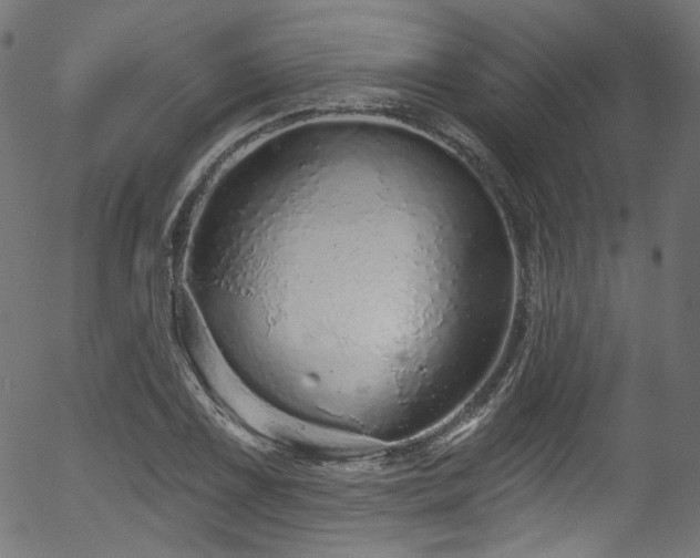 X0000056371075200508291354