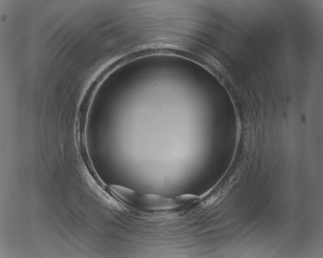 X0000056371076200508291354