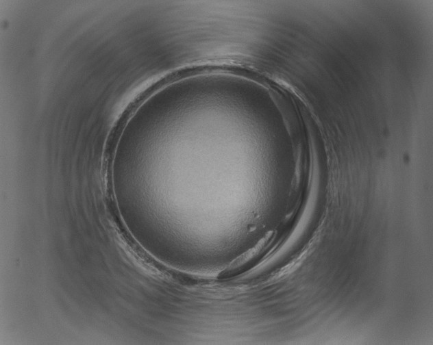 X0000056371077200508291354