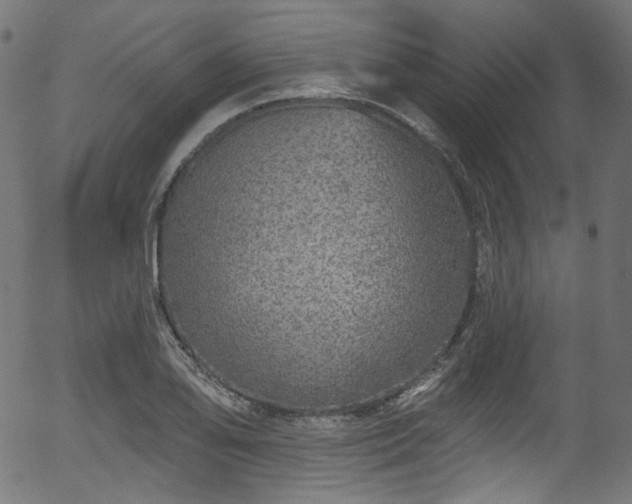 X0000056371078200508291354