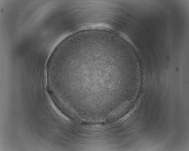 X0000056371079200508291354